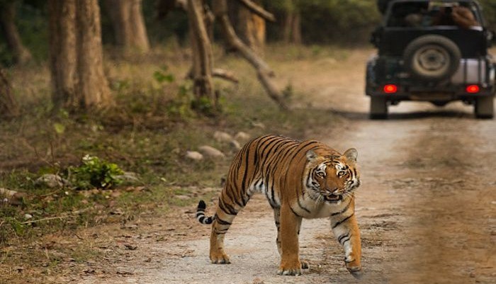 Nainital with Jim Corbett